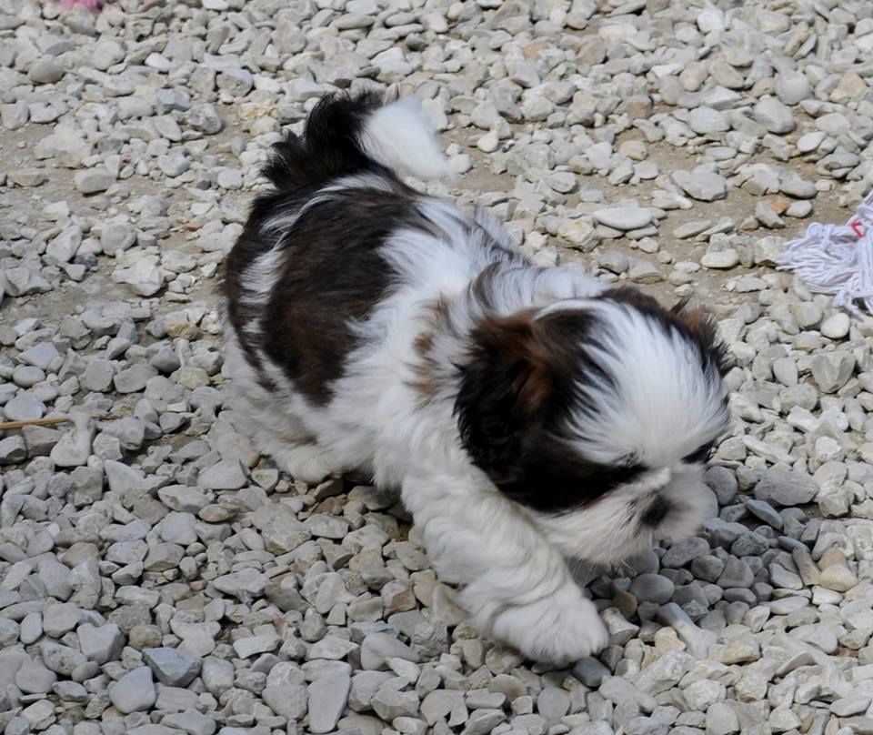 Bébé One Love